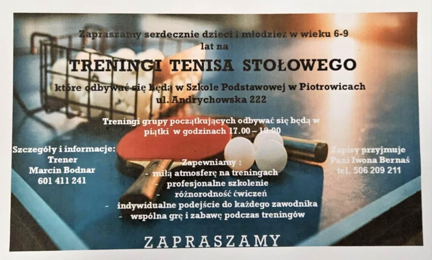 tenis
